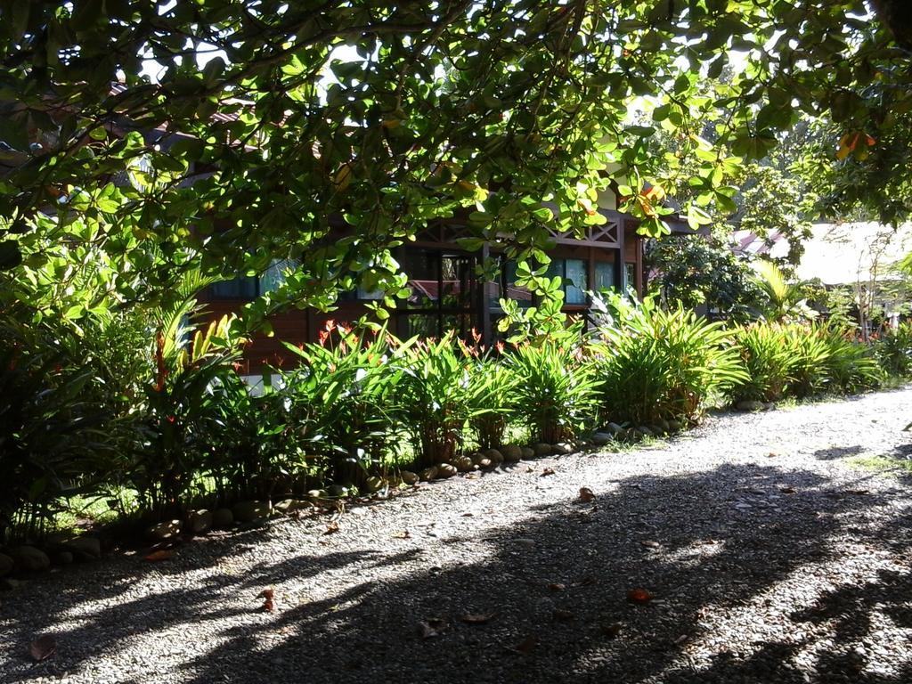 Kenaki Lodge Puerto Viejo de Talamanca Eksteriør bilde