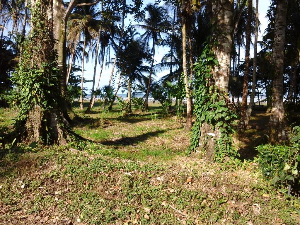 Kenaki Lodge Puerto Viejo de Talamanca Eksteriør bilde