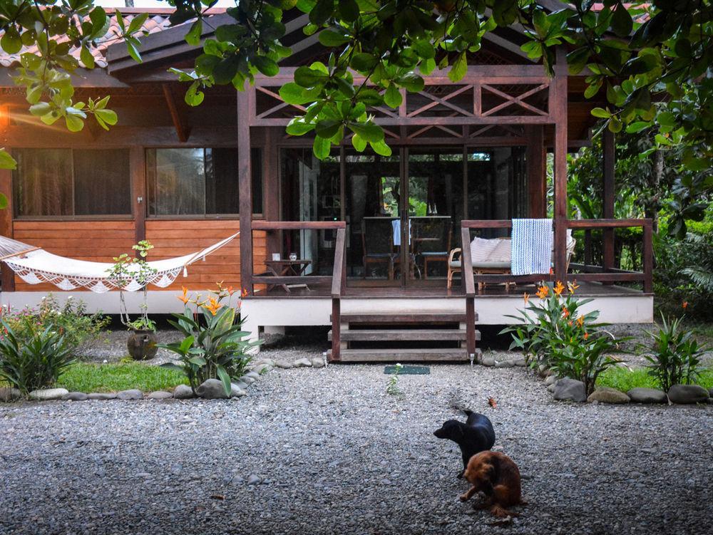 Kenaki Lodge Puerto Viejo de Talamanca Eksteriør bilde