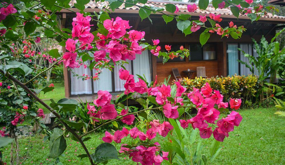 Kenaki Lodge Puerto Viejo de Talamanca Eksteriør bilde